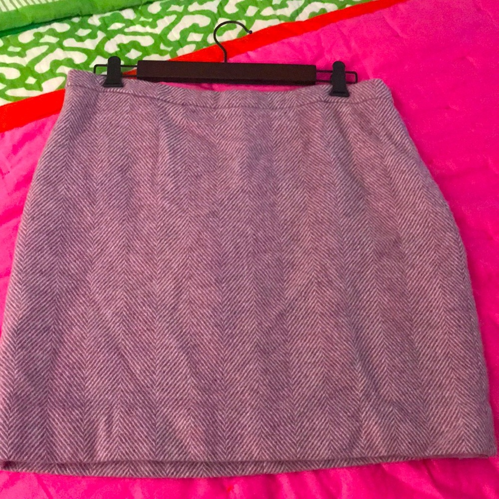 Beautiful J.Crew Skirt